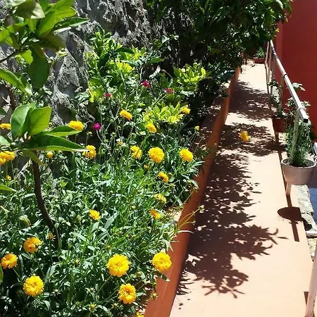 Apartmán 